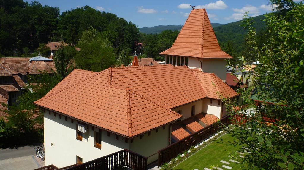 Vila Silvia Sovata Buitenkant foto