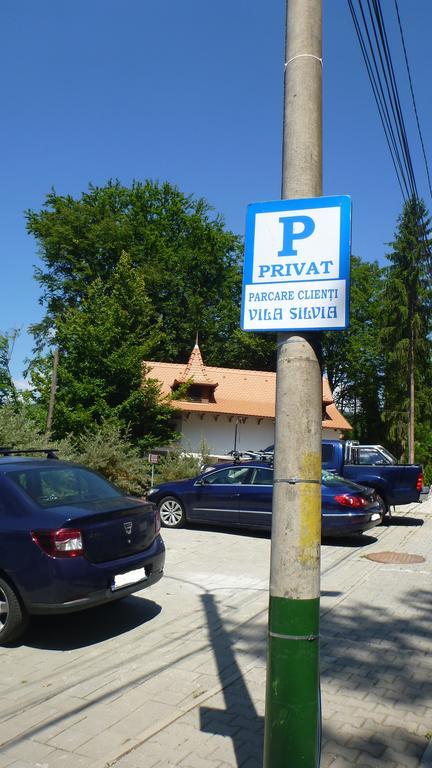Vila Silvia Sovata Buitenkant foto